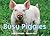 Busy Piggies (A Busy Book)
