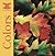 Colors: Easy-Open Board Book