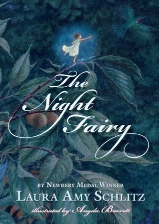 The Night Fairy (Hardcover)