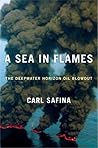 A Sea in Flames: ...