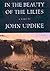 In the Beauty of the Lilies by John Updike
