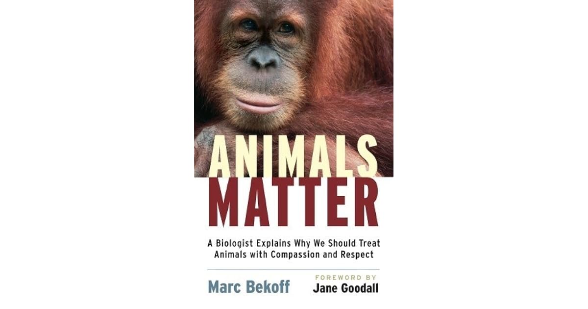 Animals Matter A Biologist Explains Why We Should Treat Animals with