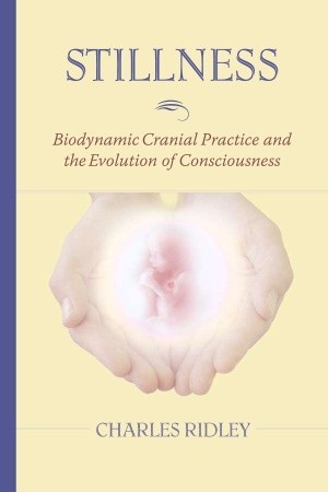Stillness: Biodynamic Cranial Practice and the Evolution of Consciousness (Paperback)