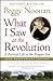 What I Saw at the Revolution: A Political Life in the Reagan Era