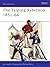 The Taiping Rebellion 1851–66 (Men-at-Arms, 275)