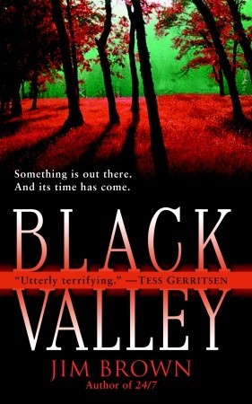 Black Valley (Mass Market Paperback)