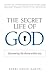 The Secret Life of God by David Aaron