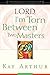 Lord, I'm Torn Between Two Masters (A Devotional Study on Genuine Faith from the Sermon on the Mount)