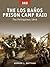 The Los Banos Prison Camp Raid: The Philippines 1945 (Raid, 14)