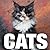 Cats (CubeBook)