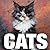 Cats (CubeBook)