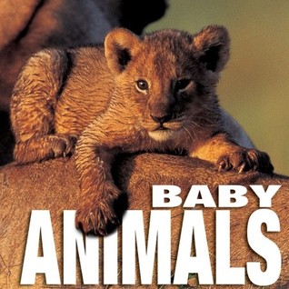 Baby Animals (Big Cubebooks)