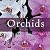 Orchids