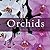 Orchids