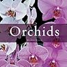 Orchids