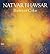 Natvar Bhavsar: Poetics of Color