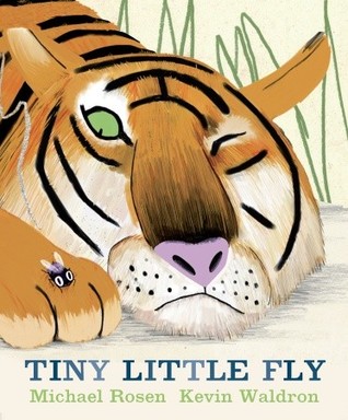 Tiny Little Fly (Hardcover)
