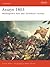 Assaye 1803: Wellington's B...