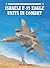 Israeli F-15 Eagle Units In Combat by Shlomo Aloni