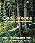 Cool Woods by Jane Drake