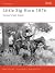 Little Big Horn 1876: Custe...
