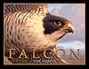 Falcon by Tim Jessell