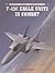 F-15C Eagle Units in Combat
