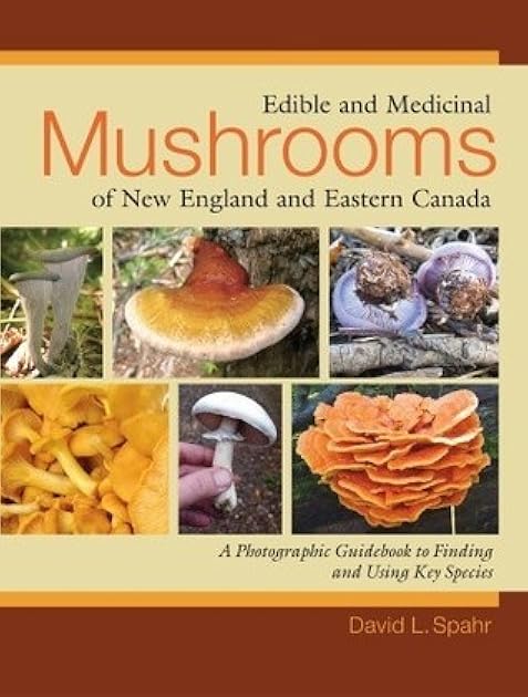 Edible and Medicinal Mushrooms of New England and Eastern Canada: A Photographic Guidebook to Finding and Using Key Species