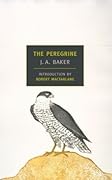 The Peregrine