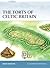 The Forts of Celtic Britain by Angus Konstam The Forts of Celtic Britain by Angus Konstam