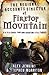 The Regional Accounts Director of Firetop Mountain by Stephen Morrison