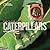 Face to Face with Caterpillars (Face to Face with Animals)