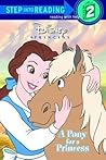 A Pony for a Princess by Andrea Posner-Sanchez
