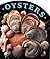 Oysters by John DeMers