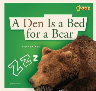 A Den Is a Bed for a Bear