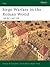 Siege Warfare in the Roman ...