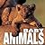 Baby Animals (CubeBook)