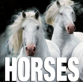 Horses (CubeBook)