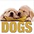 Dogs (CubeBook)