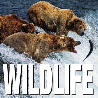 Wild Life (Cube Books)