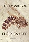 Fossils of Floris...