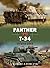 Panther vs T-34: Ukraine 19...