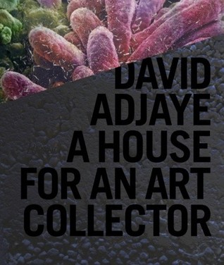 David Adjaye: A House for an Art Collector (Hardcover)