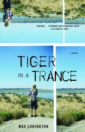 Tiger in a Trance (Paperback)