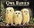 Owl Babies by Martin Waddell