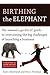 Birthing the Elephant by Karin Abarbanel