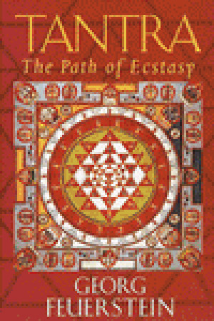 Tantra: The Path of Ecstasy (Paperback)