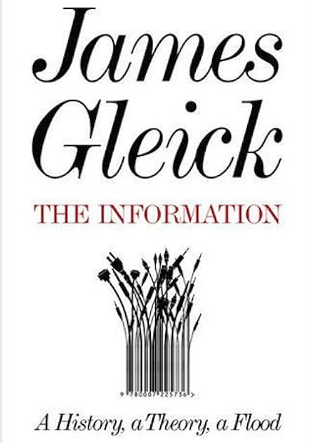 The Information: A History, A Theory, A Flood