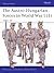 The Austro-Hungarian Forces...