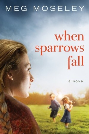 When Sparrows Fall (Paperback)